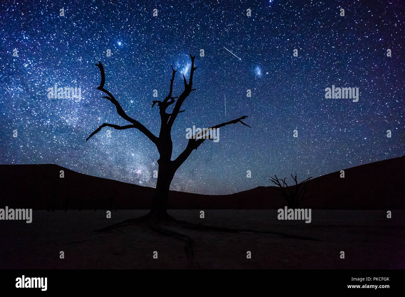 Albero morto nella parte anteriore del cielo stellato con Via Lattea, Deadvlei, Sossusvlei, Namibia Foto Stock