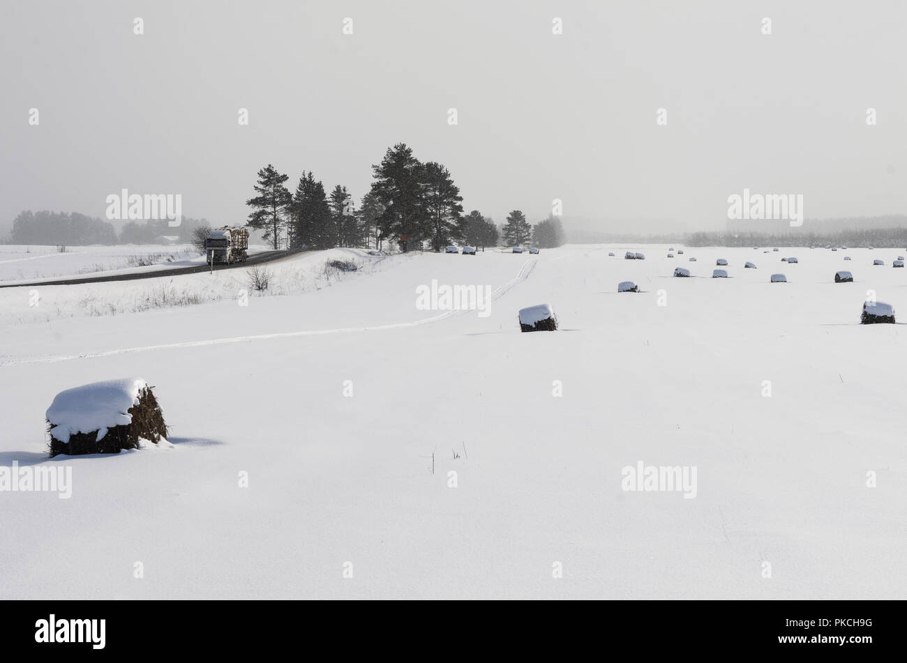 Coperte di neve campo liscio nella nebbia con rotoli di fieno e di strada con carrello Foto Stock