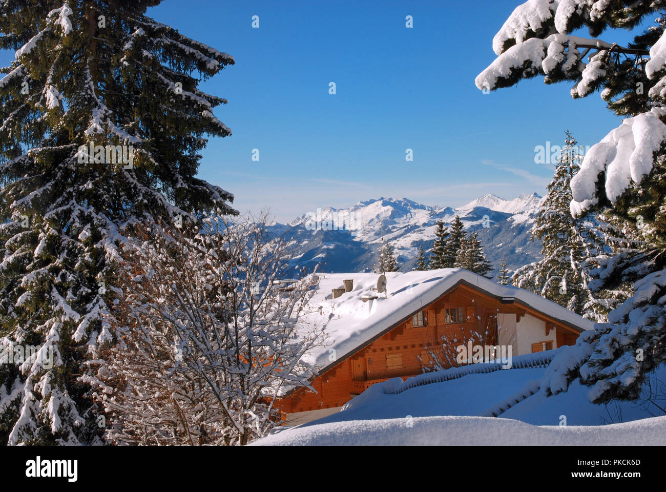 Cottage di legno nella stagione invernale, Svizzera, Villars-sur-Ollon Foto Stock