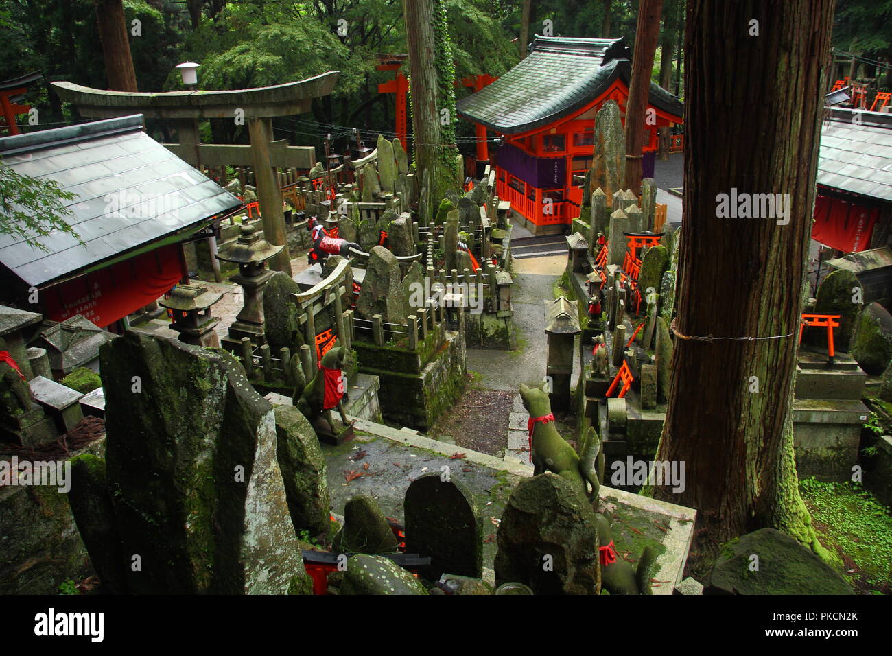 Sacrario scintoista nella foresta vicino Kyoto Foto Stock