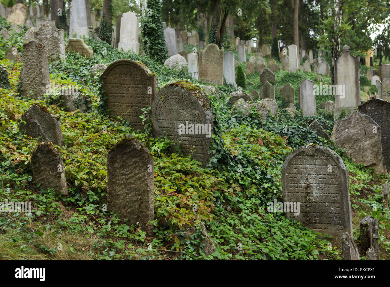 Cimitero ebraico in Třebíč nella regione Oberland, Repubblica Ceca. Foto Stock