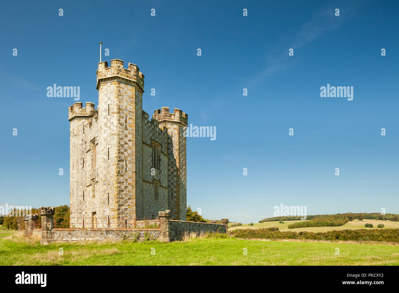 Torre Hiorne in Arundel Park, West Sussex, in Inghilterra. Foto Stock