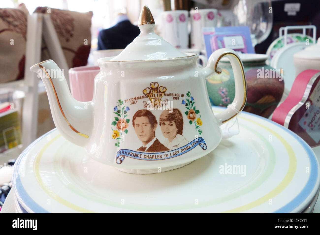 Le merci in vendita presso il negozio di carità a Bexhill-on-Sea, Regno Unito Foto Stock