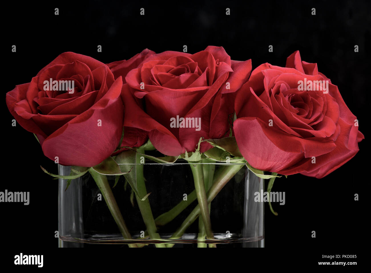 Tre rose rosse in recipiente di vetro di close-up di san valentino o regalo di impegno - amore e romanticismo concetti Foto Stock