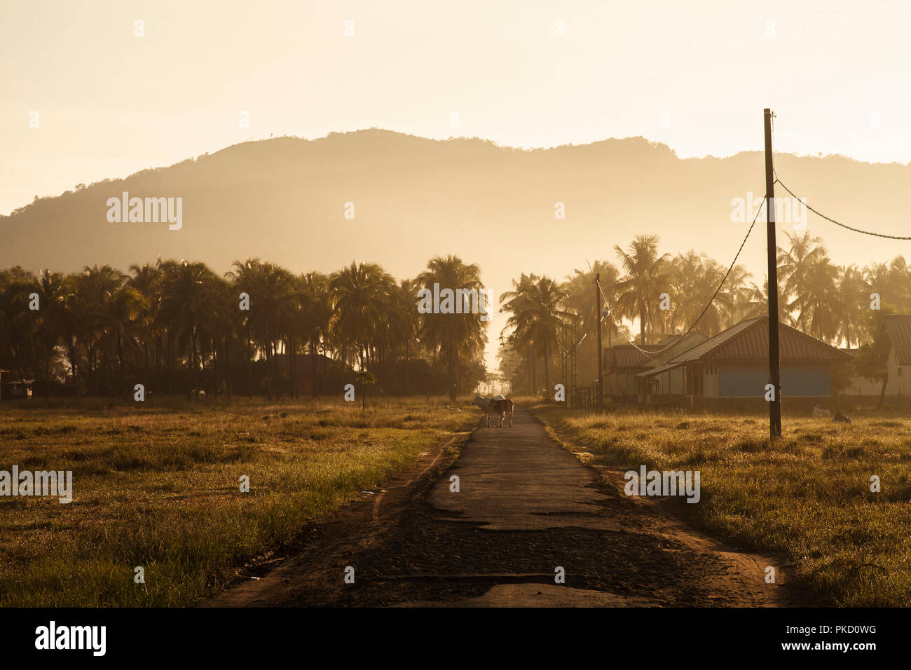 L'atmosfera del mattino nel villaggio, Geoparco Cileutuh, Sukabumi, Indonesia Foto Stock