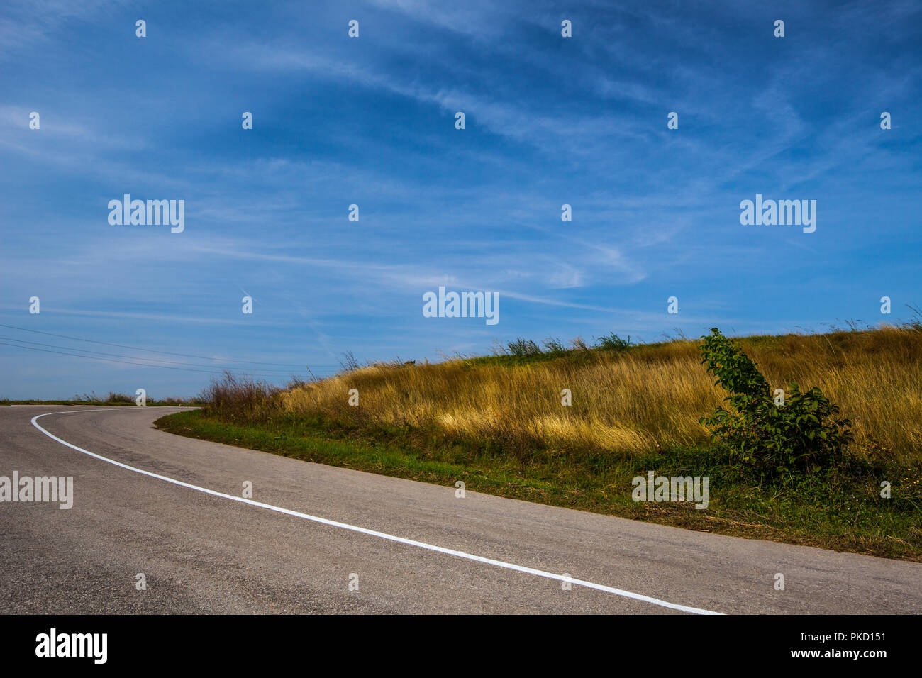 Svuotare strada asfaltata oltre il campo di erba durante l'estate Foto Stock