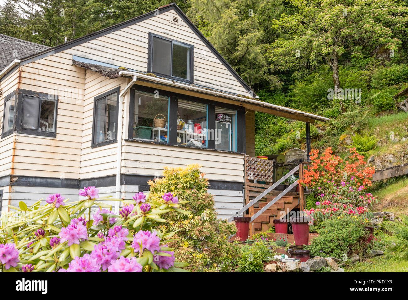 Un colorato proprietà nazionale sui pendii sopra il porto in Ketchikan in Alaska, STATI UNITI D'AMERICA Foto Stock