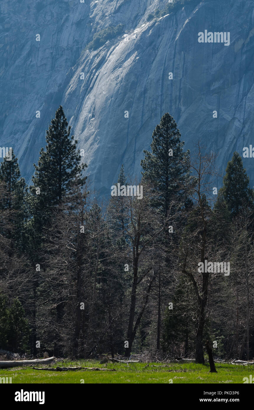 Parco Nazionale di Yosemite in California, Stati Uniti d'America. American National Park è situato sulla parte occidentale della Sierra Nevada della California centrale, Foto Stock