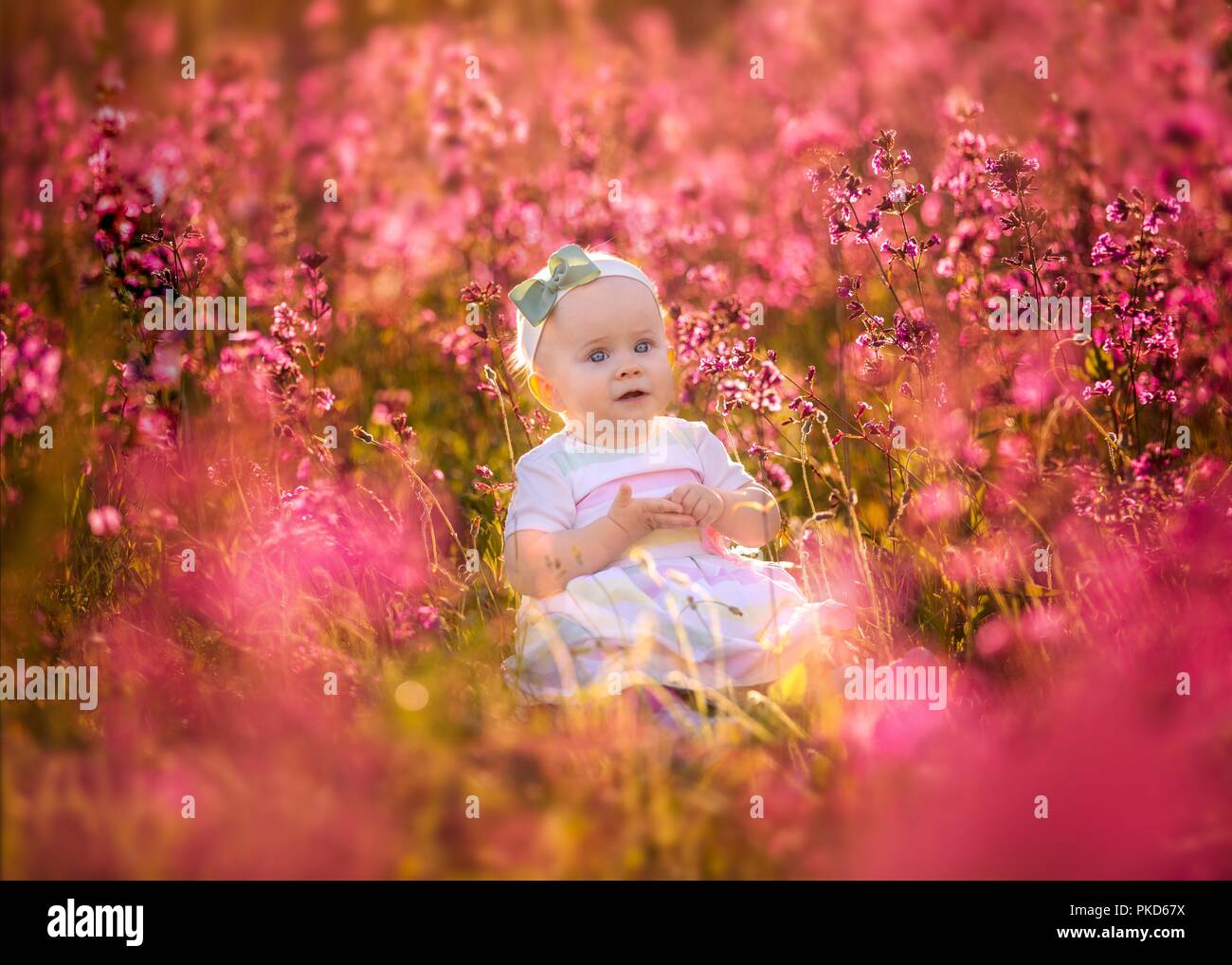 Bimbo piccolo ragazza seduta in fiori di colore rosso. Foto Stock