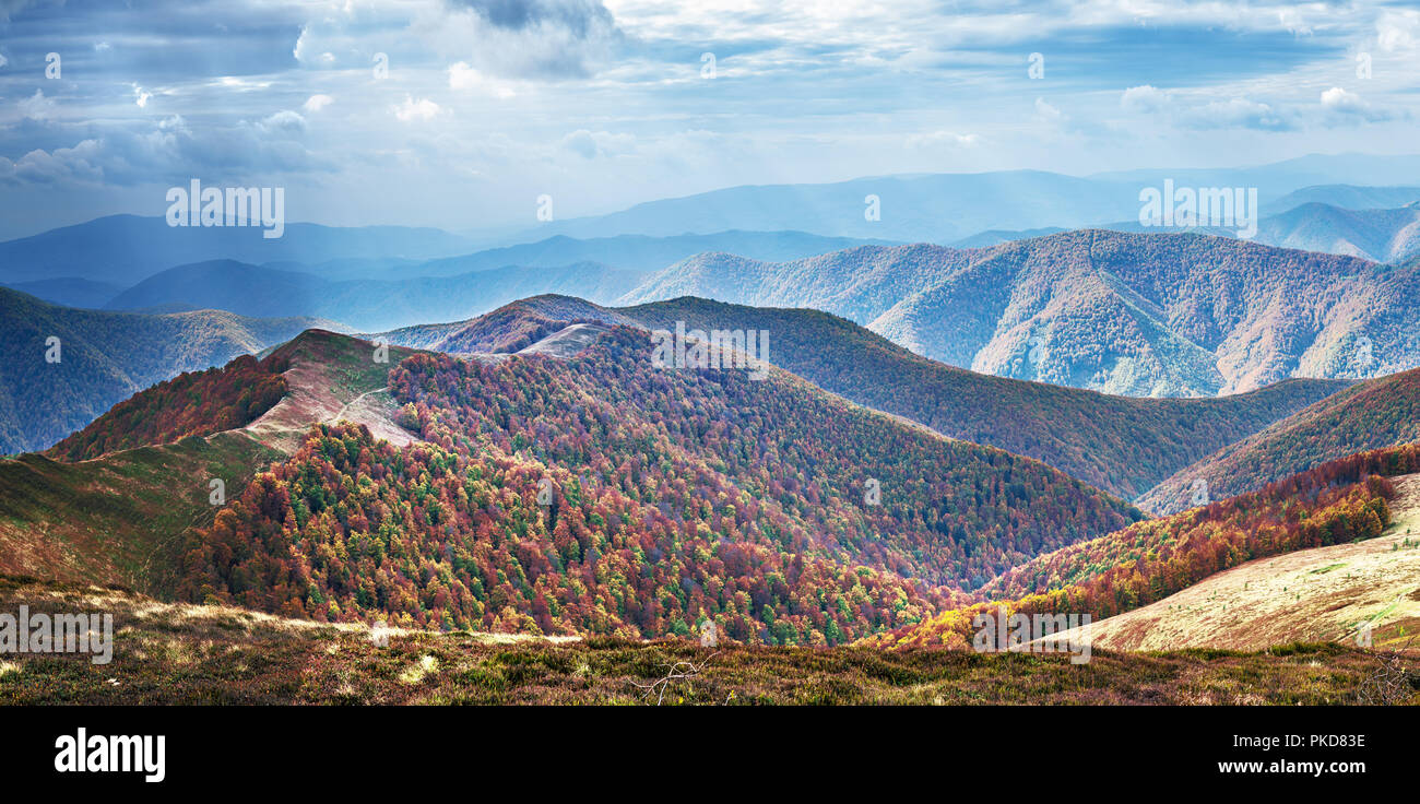 Panorama di colori d'autunno bosco in montagna e nuvole scure nel cielo. Foto Stock