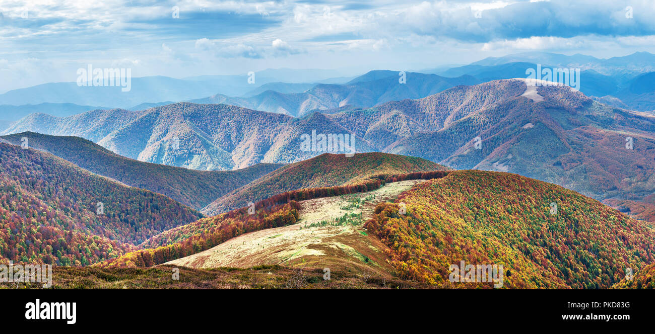 Panorama di colori d'autunno bosco in montagna e nuvole scure nel cielo. Foto Stock