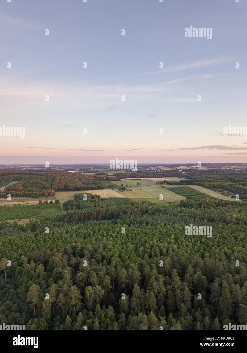 Paesaggio di antenna con la foresta nella luce del tramonto. Bellissimo paesaggio drone. Foto Stock