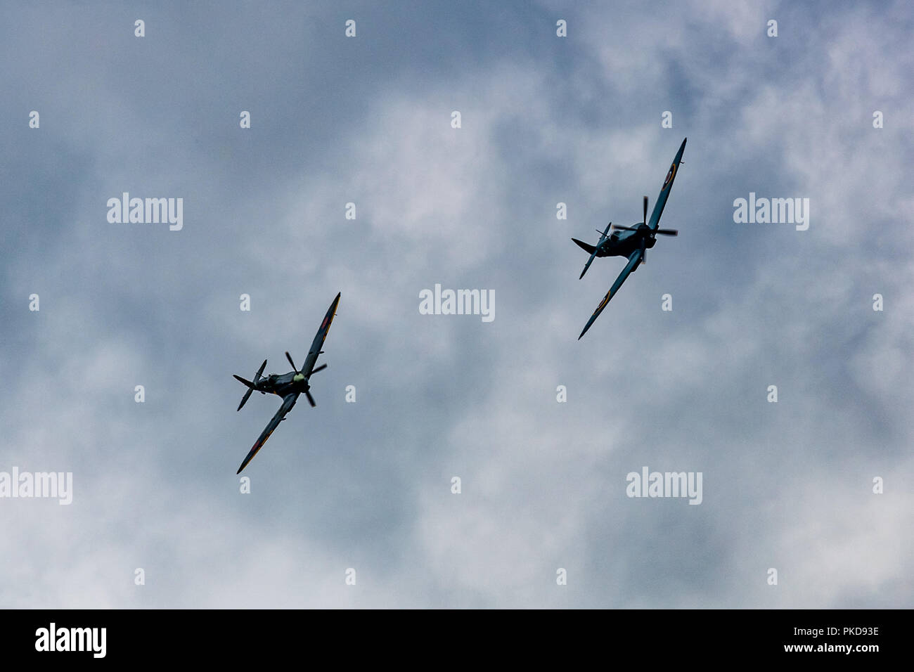 Due Spitfires volare in formazione, bancario contro un nuvoloso agosto sky. Foto Stock