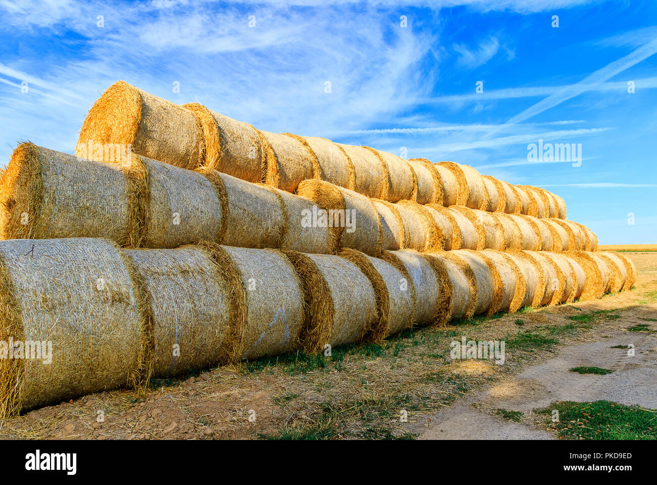 Il paesaggio agricolo- Golden rotoli di paglia sotto il blu nella tarda estate del cielo Foto Stock