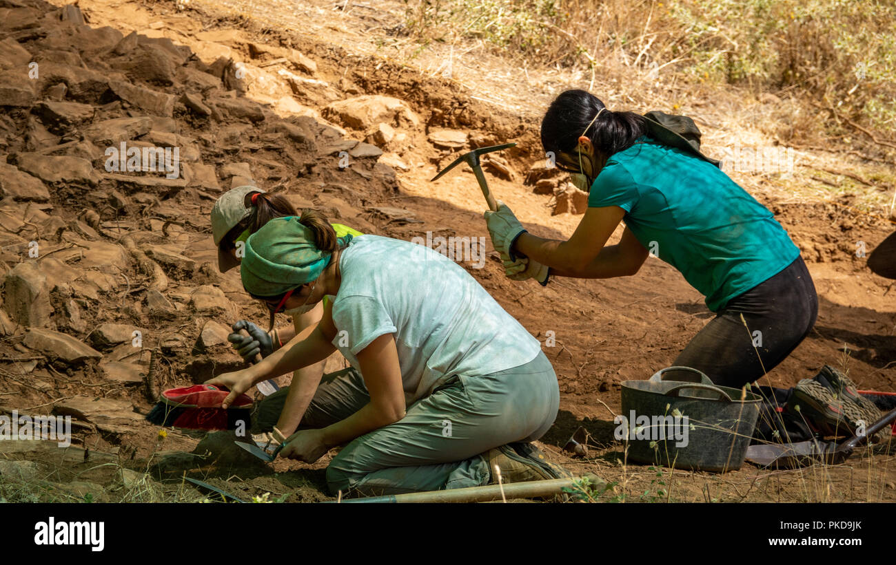 Archeologo le donne che lavorano in un antico edificio di fort, Zamora Foto Stock