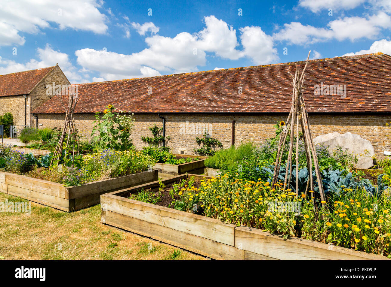 Letti sollevata è pieno di fiori e di ortaggi in cucina giardino alla Hauser & Wirth Gallery, Durslade Farm, Bruton, Somerset, Inghilterra, Regno Unito Foto Stock