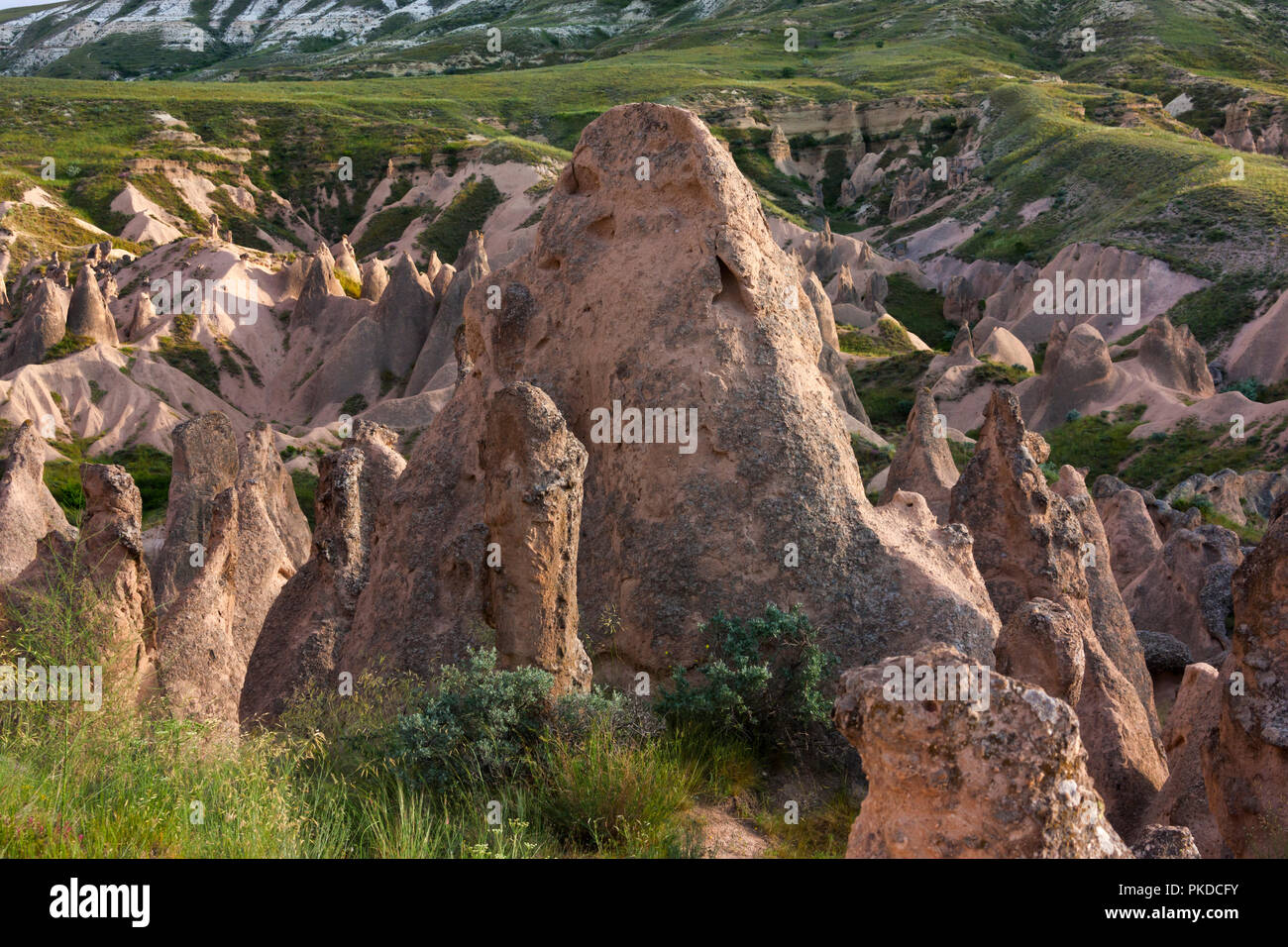 Pilastri di roccia in Cappadocia, Sito Patrimonio Mondiale dell'UNESCO, Turchia Foto Stock