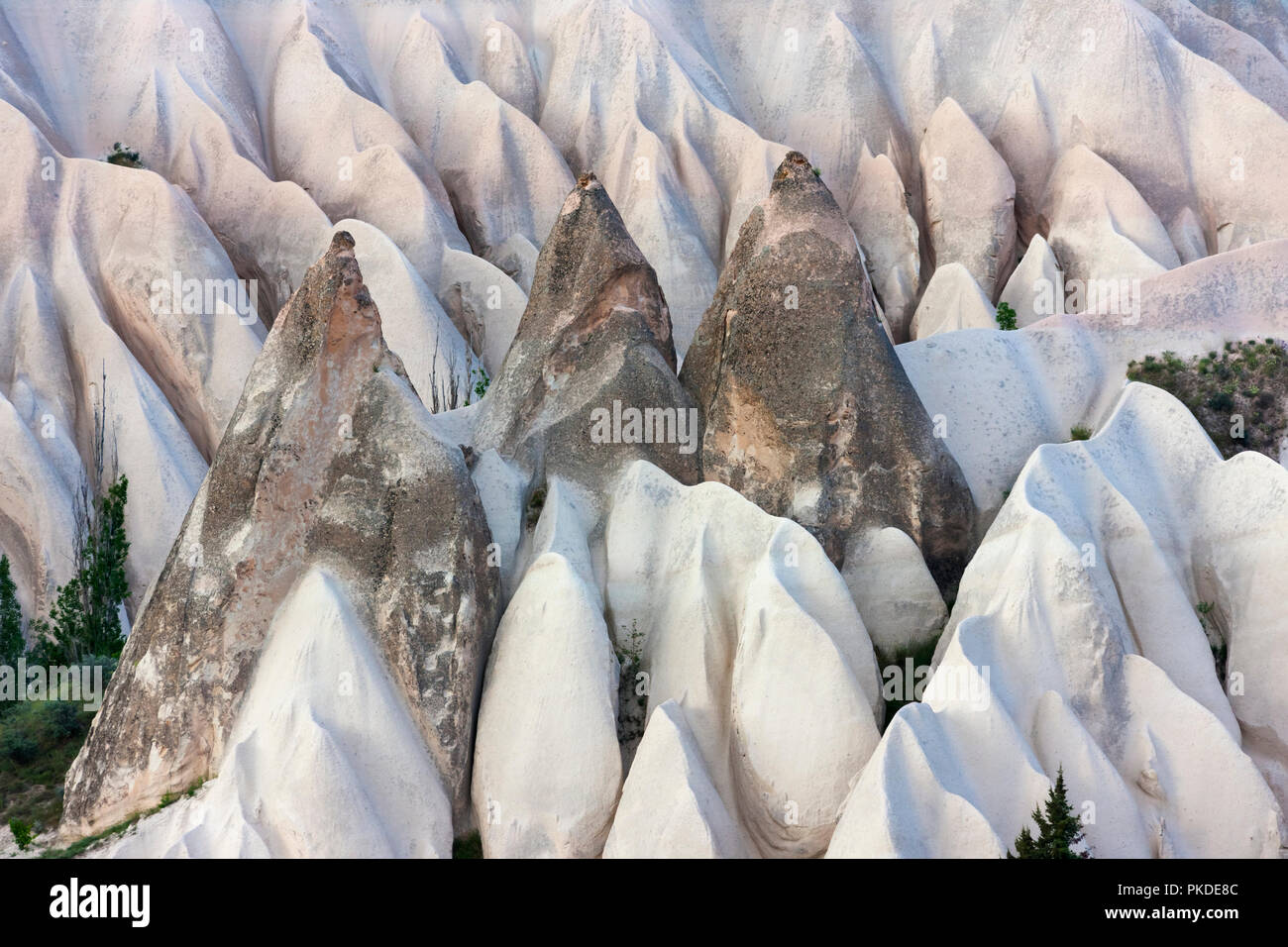 Formazioni di roccia nella valle, Goreme, Cappadocia, Turchia (Patrimonio Mondiale dell'UNESCO) Foto Stock