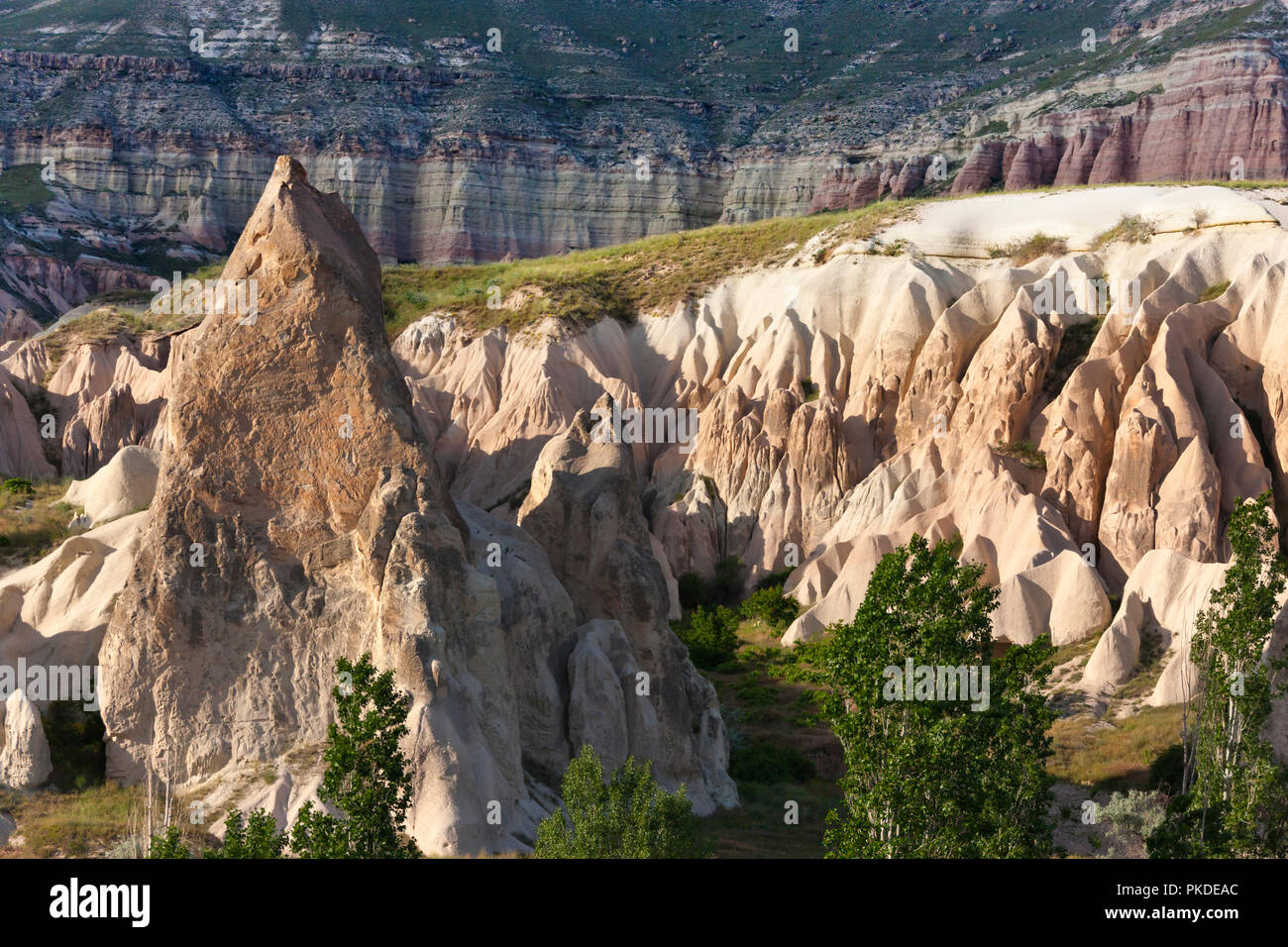 Formazioni di roccia nella valle, Goreme, Cappadocia, Turchia (Patrimonio Mondiale dell'UNESCO) Foto Stock