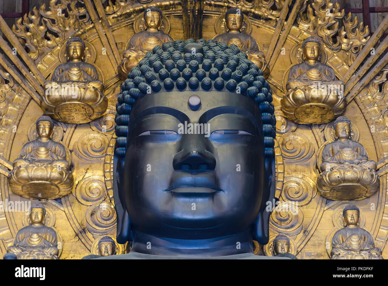 Nara, Giappone - 29 Aprile 2014: la testa del mondo la più grande statua in bronzo del Buddha, all'interno di Todai ji tempio buddista Foto Stock