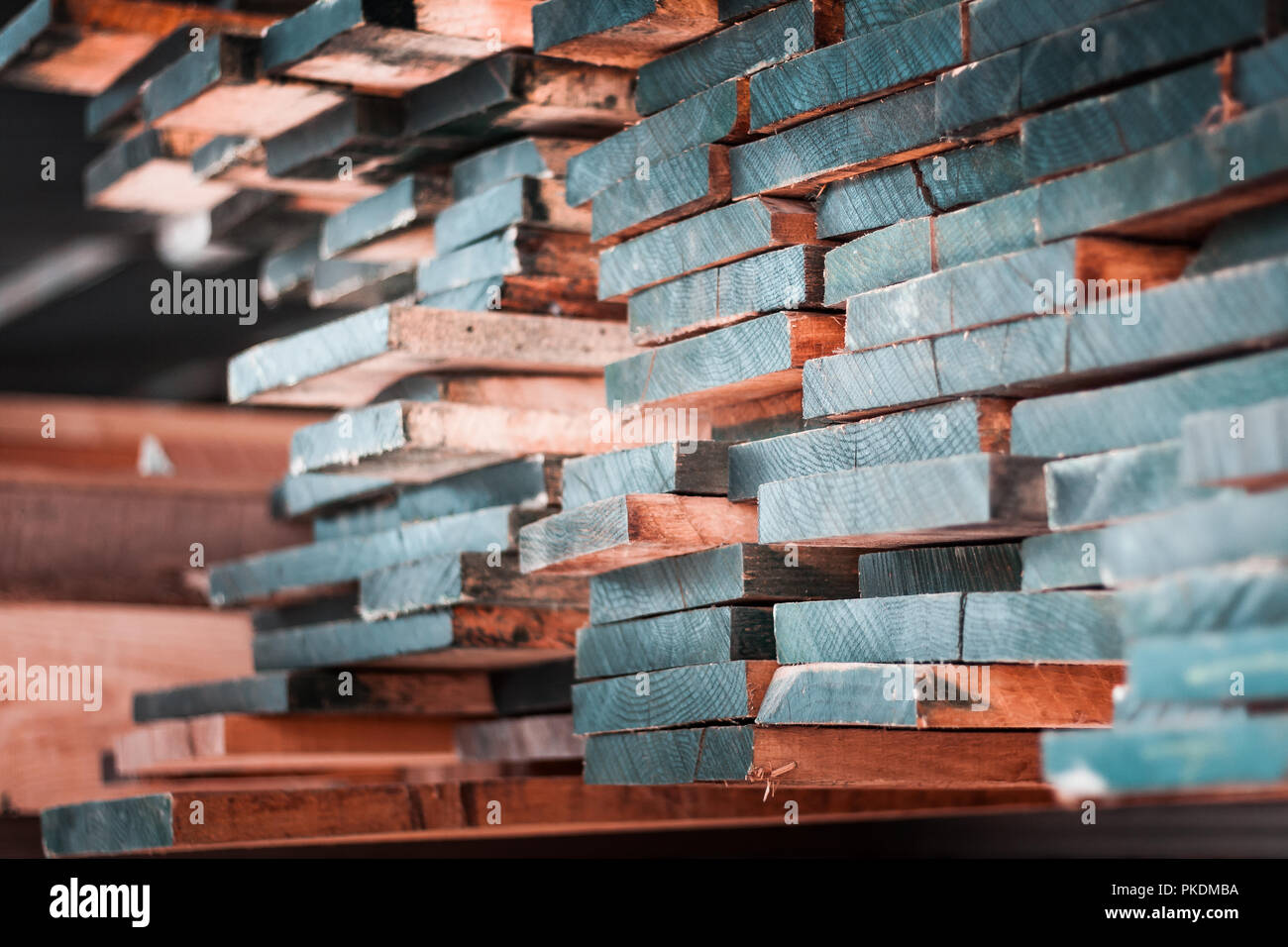 Selezione delle migliori qualità di lastre di legno, pronto per la world wide spedizione. Pila di legno di quercia, cedro, dado di pino e di kauri listoni. Foto Stock