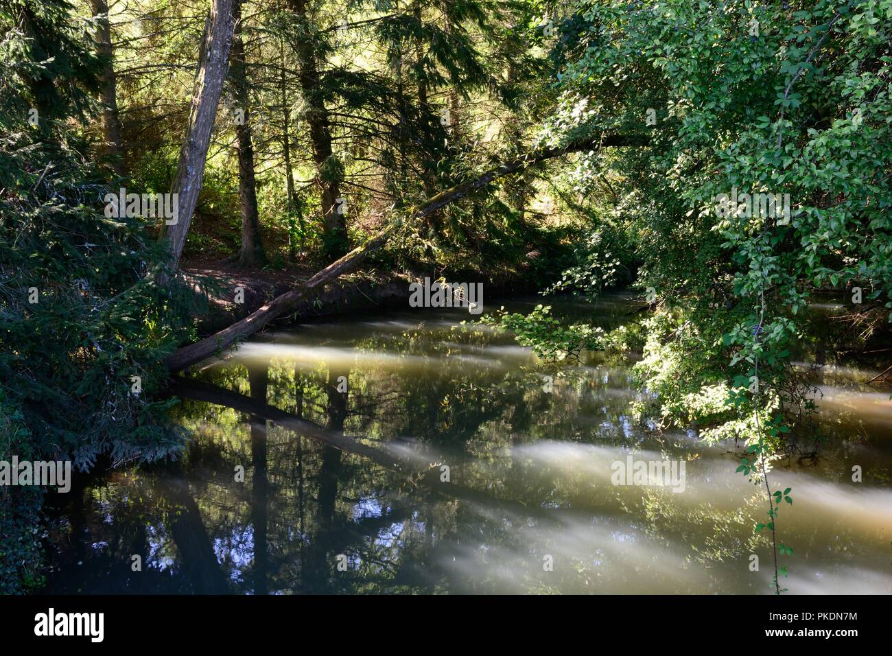 Proseguire a piedi lungo il Fiume Windrush su una giornata d'estate Minster Lovell Windrush Valle Cotswolds Inghilterra Foto Stock