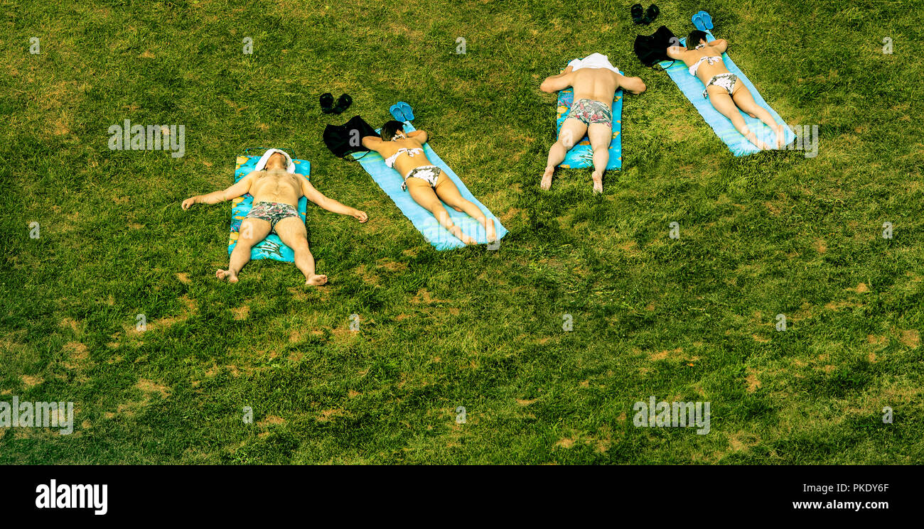 Lucertole da mare sull'erba Foto Stock