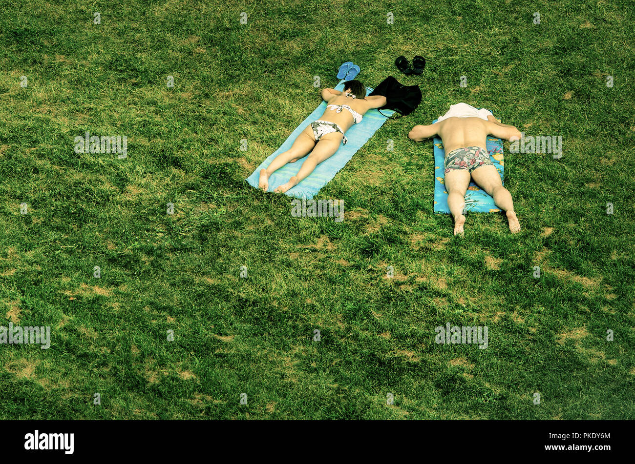 Lucertole da mare sull'erba Foto Stock