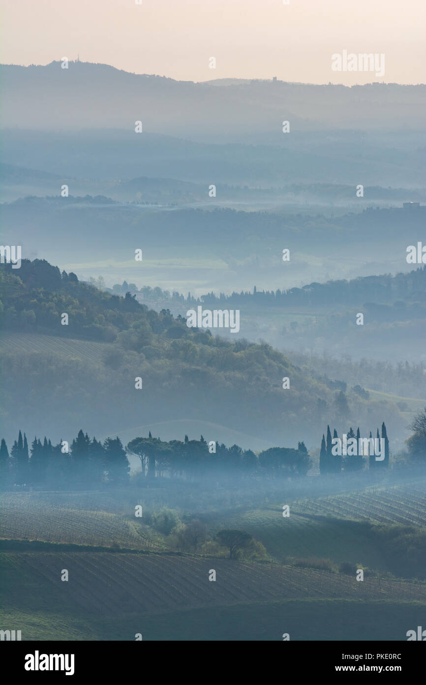 La mattina presto in Toscana Foto Stock