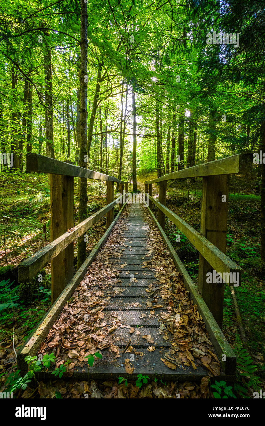Ponte di legno nella foresta Foto Stock