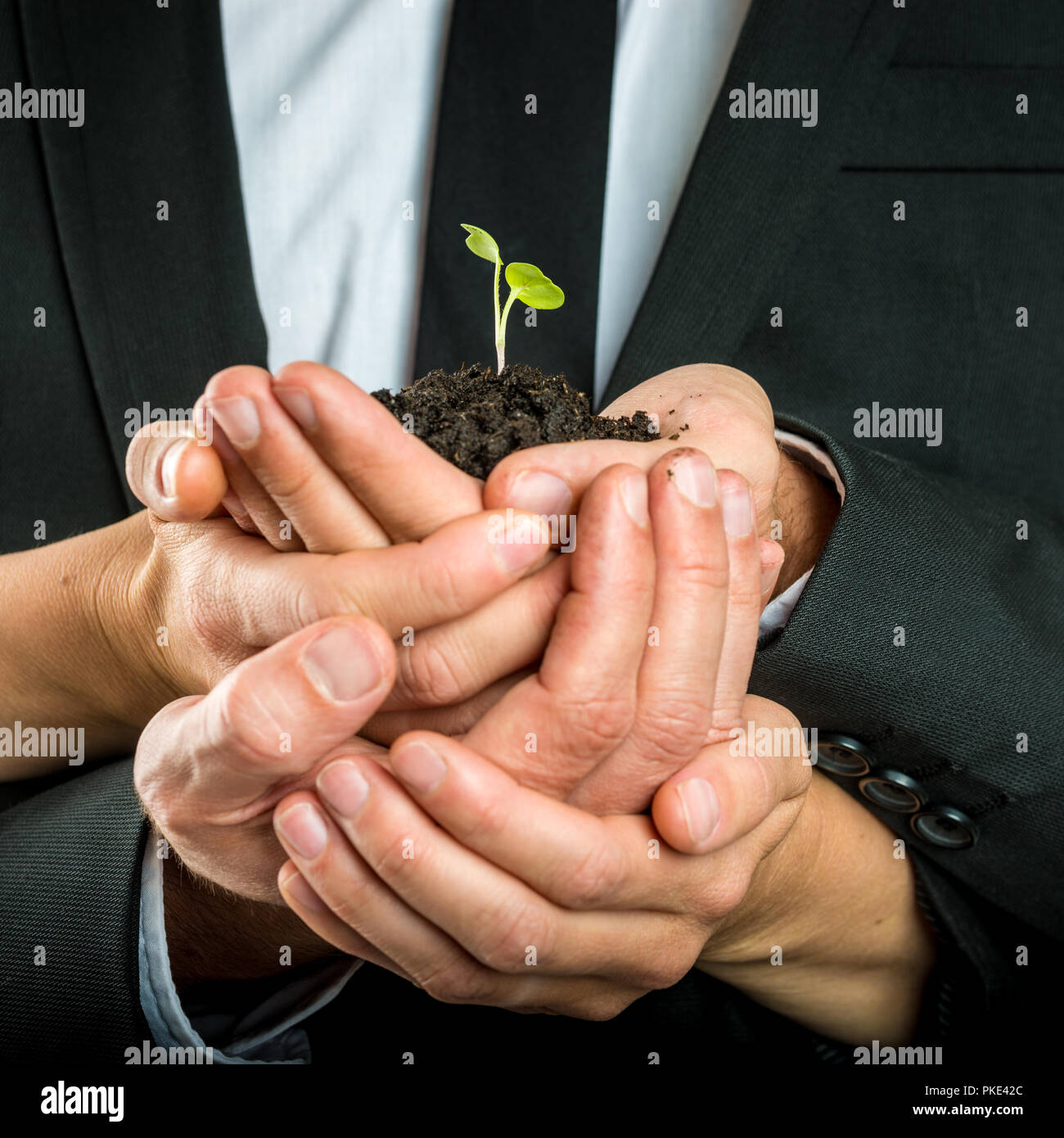 Mani a tazza di diverse business persone unite per proteggere un verde germoglio fragile cresciute in terreno fertile, concetto di ecologia e business start up. Foto Stock