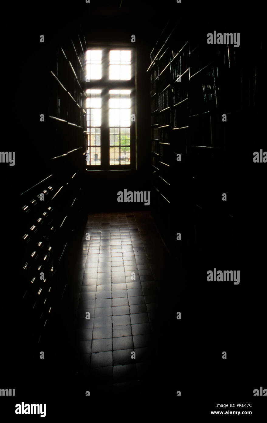 All'interno della biblioteca storica del Norbertines Abbey "Onze-Lieve-Vrouw' in Tongerlo, provincia di Anversa (Belgio, 24/05/2006) Foto Stock