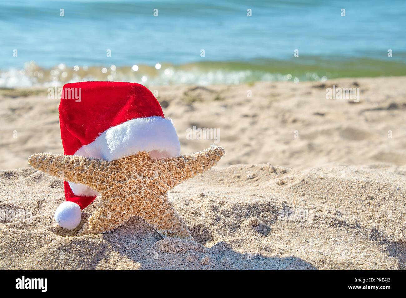 Acqua Stella Di Natale.Cappello Di Natale Sulla Stella Di Mare Nella Spiaggia Di Sabbia Con Acqua Dell Oceano Sullo Sfondo Foto Stock Alamy