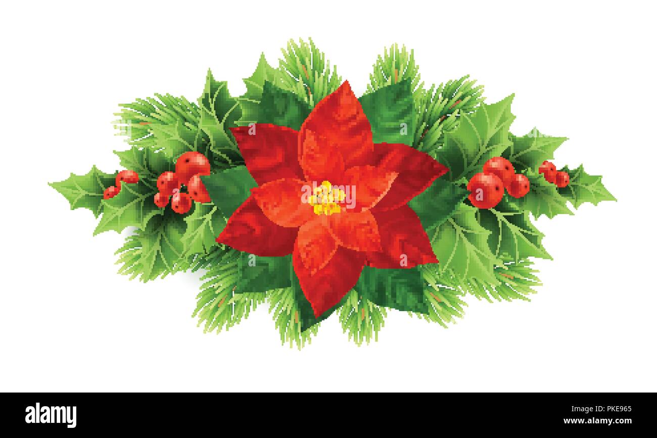 Red poinsettia flower illustrazione di Natale Illustrazione Vettoriale