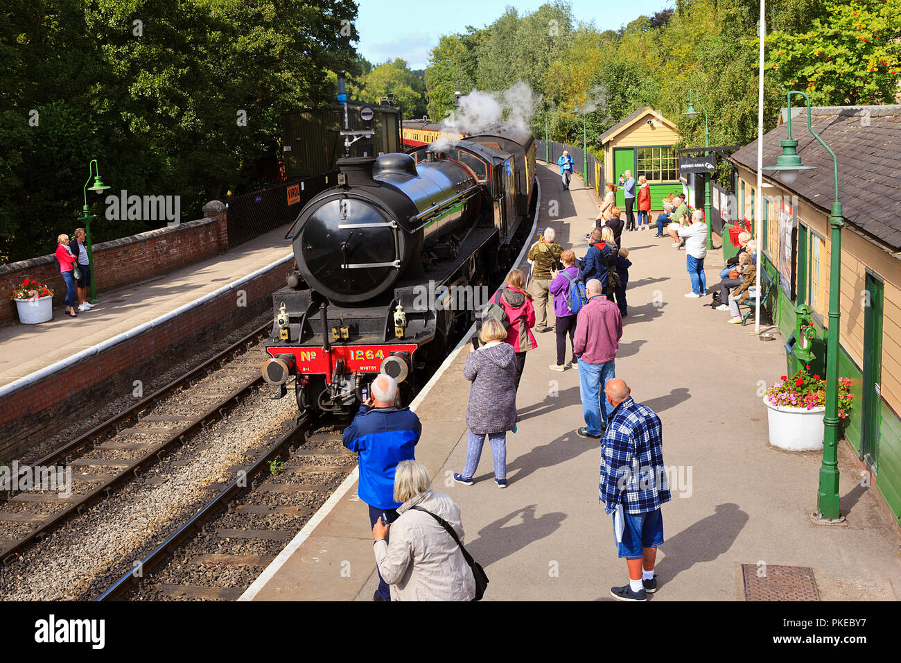 NYMR locomotiva a vapore n. 1264 entrando in stazione Pickering Foto Stock
