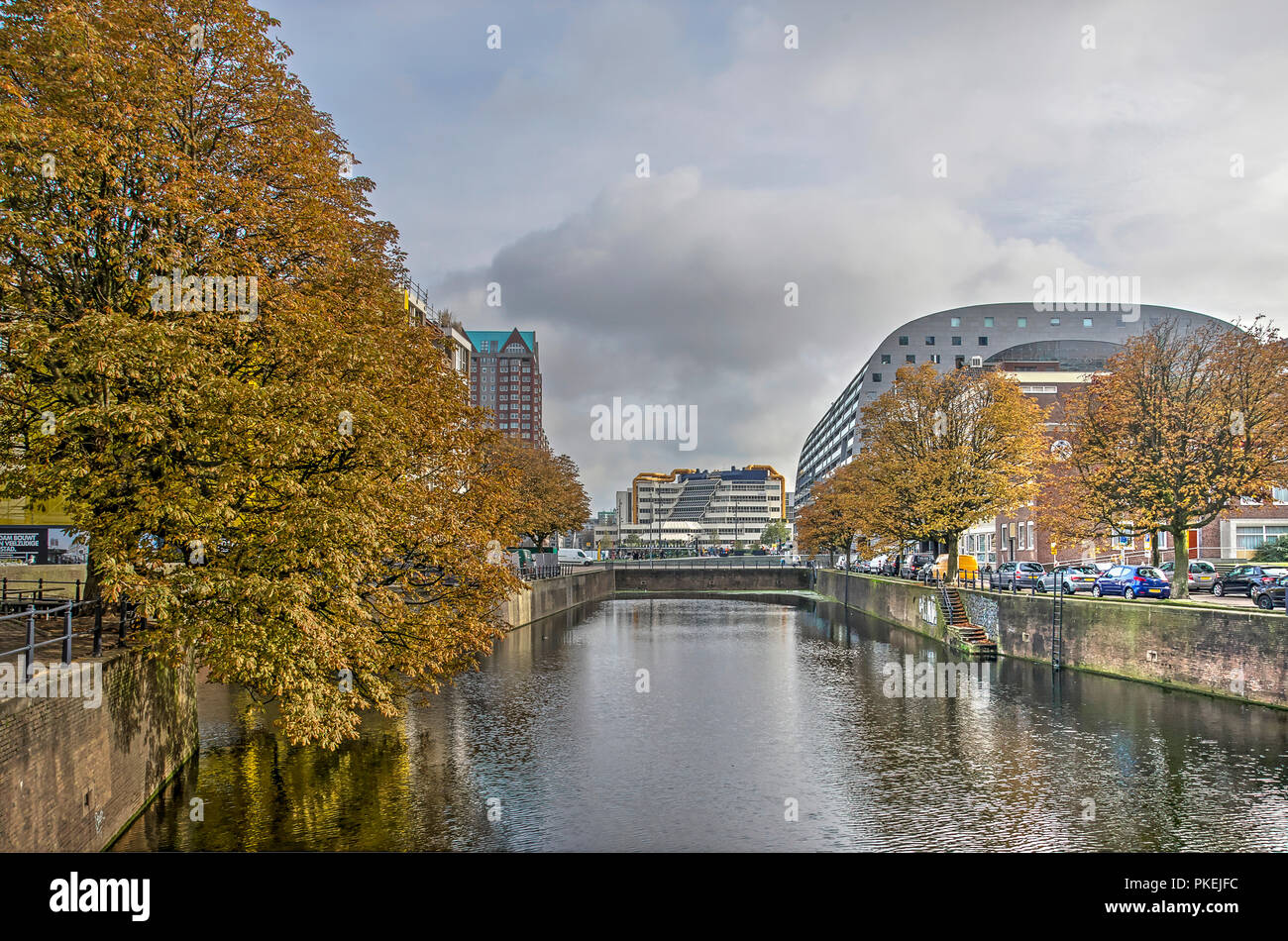 Rotterdam, Paesi Bassi, ottobre 26, 2017: alberi di castagno in autunno colori sulle banchine di Steigergracht canal, con Markthal e la biblioteca di th Foto Stock