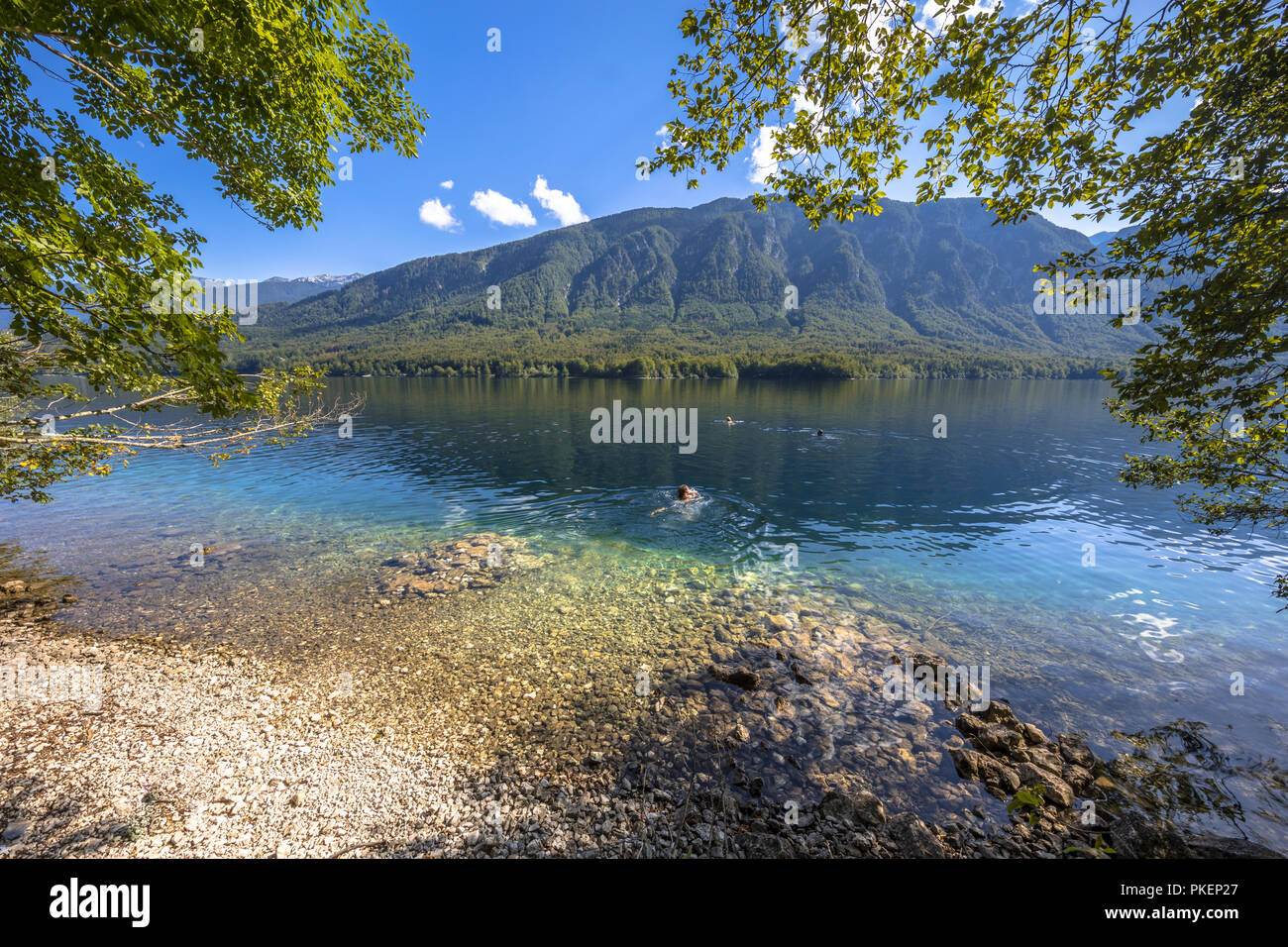I nuotatori in acqua color smeraldo di Bohinjsko jezero o lago di Bohinj visto dalla costa nord su una soleggiata giornata estiva vicino a Bled, Slovenia Foto Stock