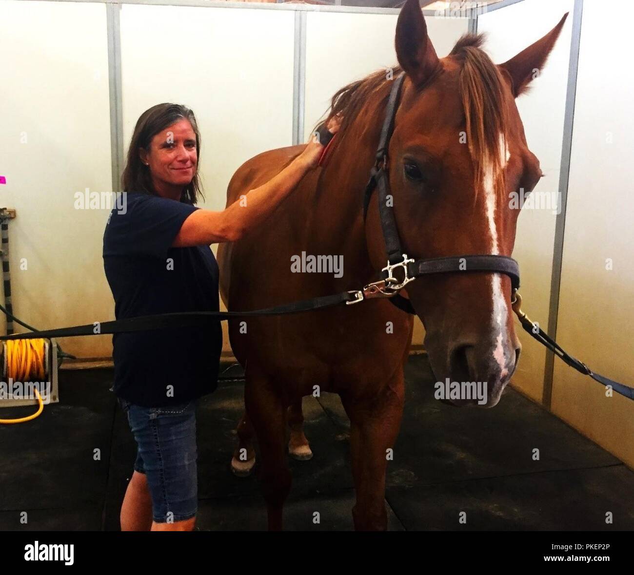 Veterano Rachel Staton prende un momento per lo sposo uno dei suo favorito a cavallo "newt" all'Equitazione equina per ottenere la fiducia e la salute (REACH) terapeutico centro di equitazione in McGregor, Texas Foto Stock