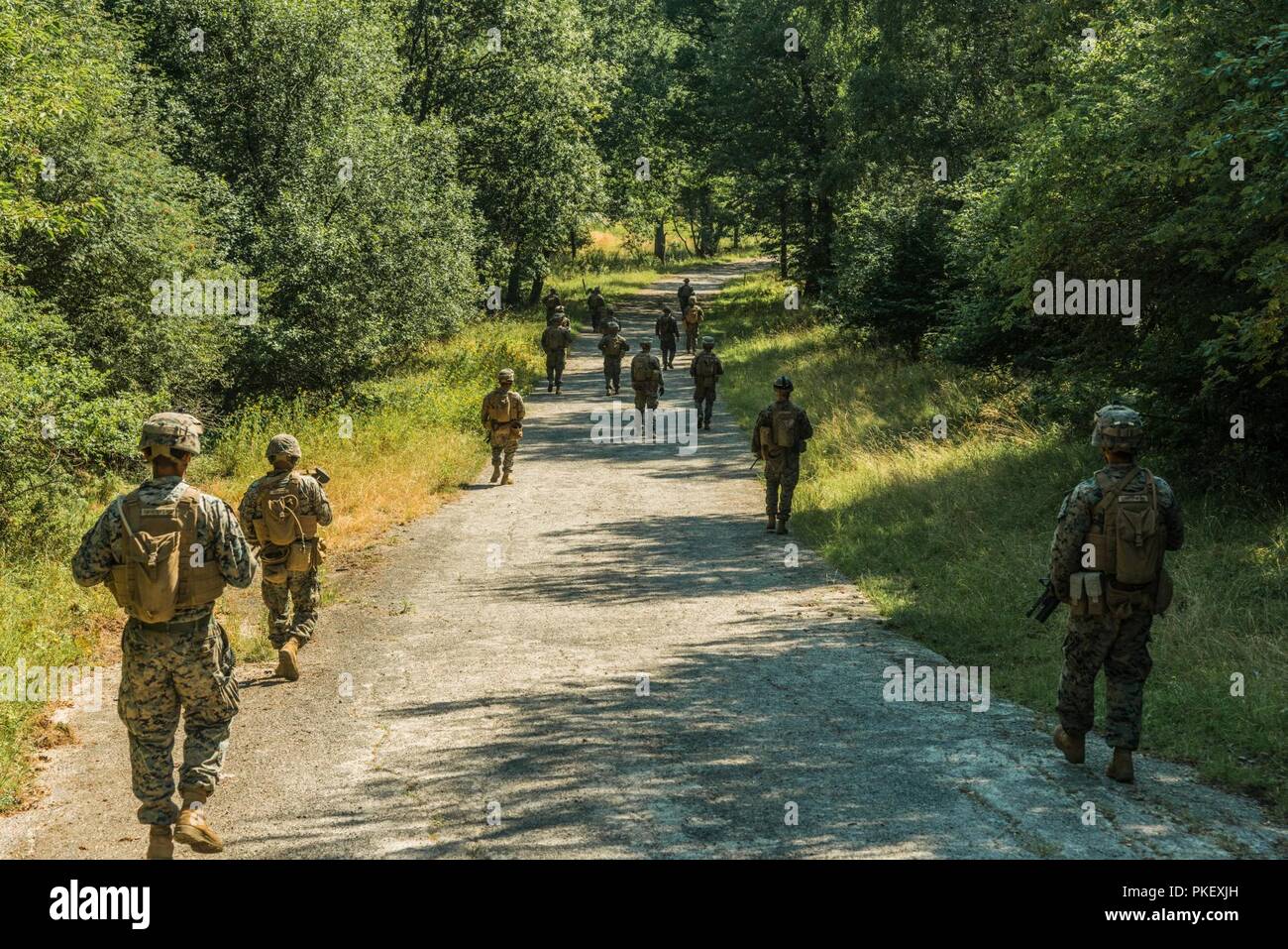 Stati Uniti Marines assegnati a scopo specialeAir-Ground Marine Task Force-Crisis Response-Africa sono le manovre per un obiettivo sul campo 35 , Baumholder zona di addestramento militare, Baumholder, Germania, 24 luglio, 2018. L'unità condotta 4 giorni di squad dimensioni bracci combinata live-fuoco esercizi di manovra a Baumholder, Germania ( esercito statunitense Foto Stock