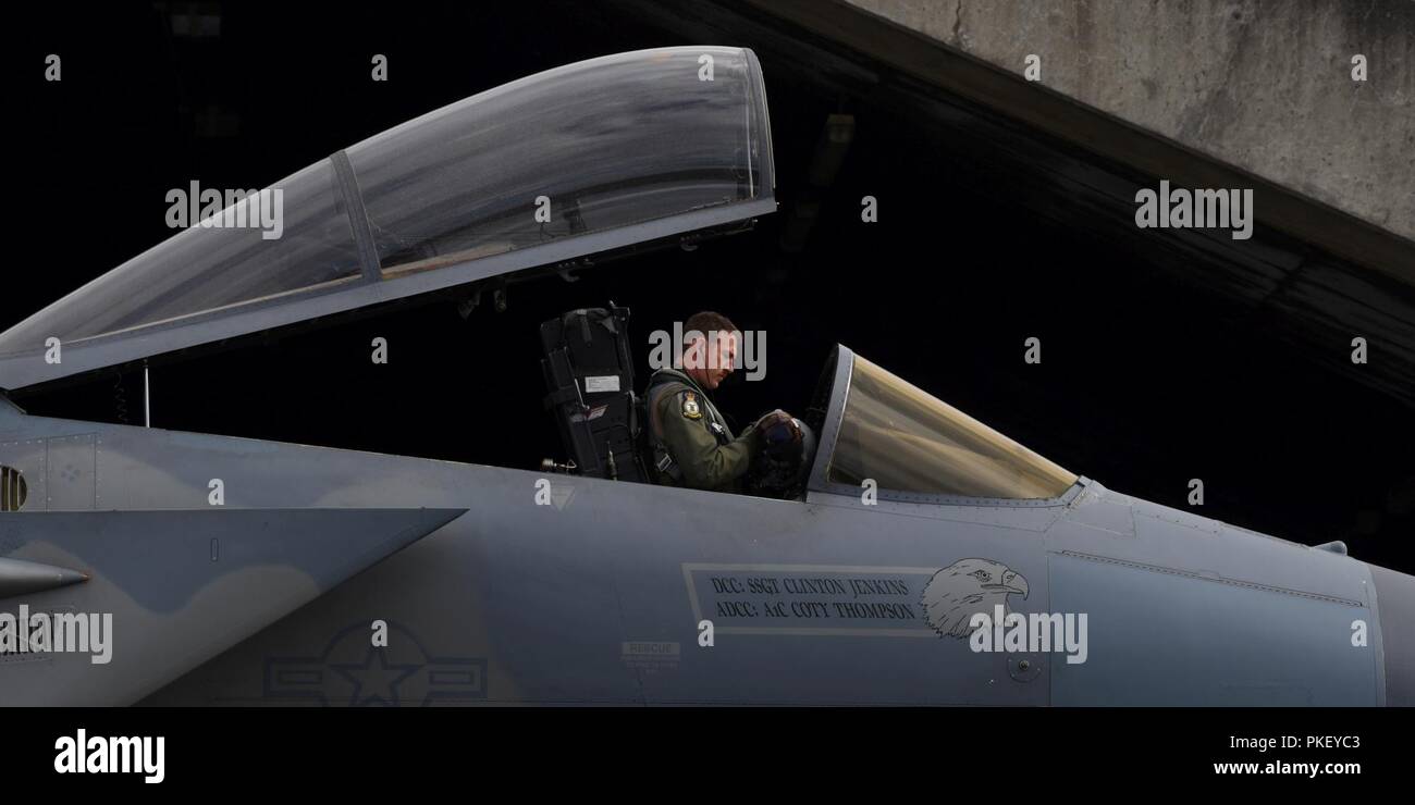 Un pilota assegnato all'493rd Expeditionary Fighter Squadron rimuove il suo casco in un F-15C Eagle a Keflavik Base aerea, Islanda, 30 luglio 2018. Pur fornendo infrastrutture critiche e supporto, l Islanda ha guardato ai suoi alleati della NATO per fornire la sorveglianza aerea e le capacità di intercettazione per soddisfare il suo tempo di pace ha bisogno di preparazione dal 2008. Foto Stock