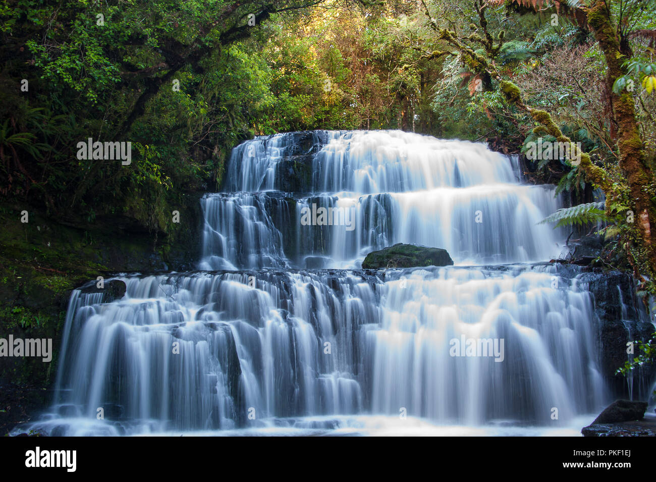 Purakaunui Falls, il Catlins, regione di Otago, Nuova Zelanda. Majestic, multi-tiered cade circondato da foresta pluviale sfondo Foto Stock