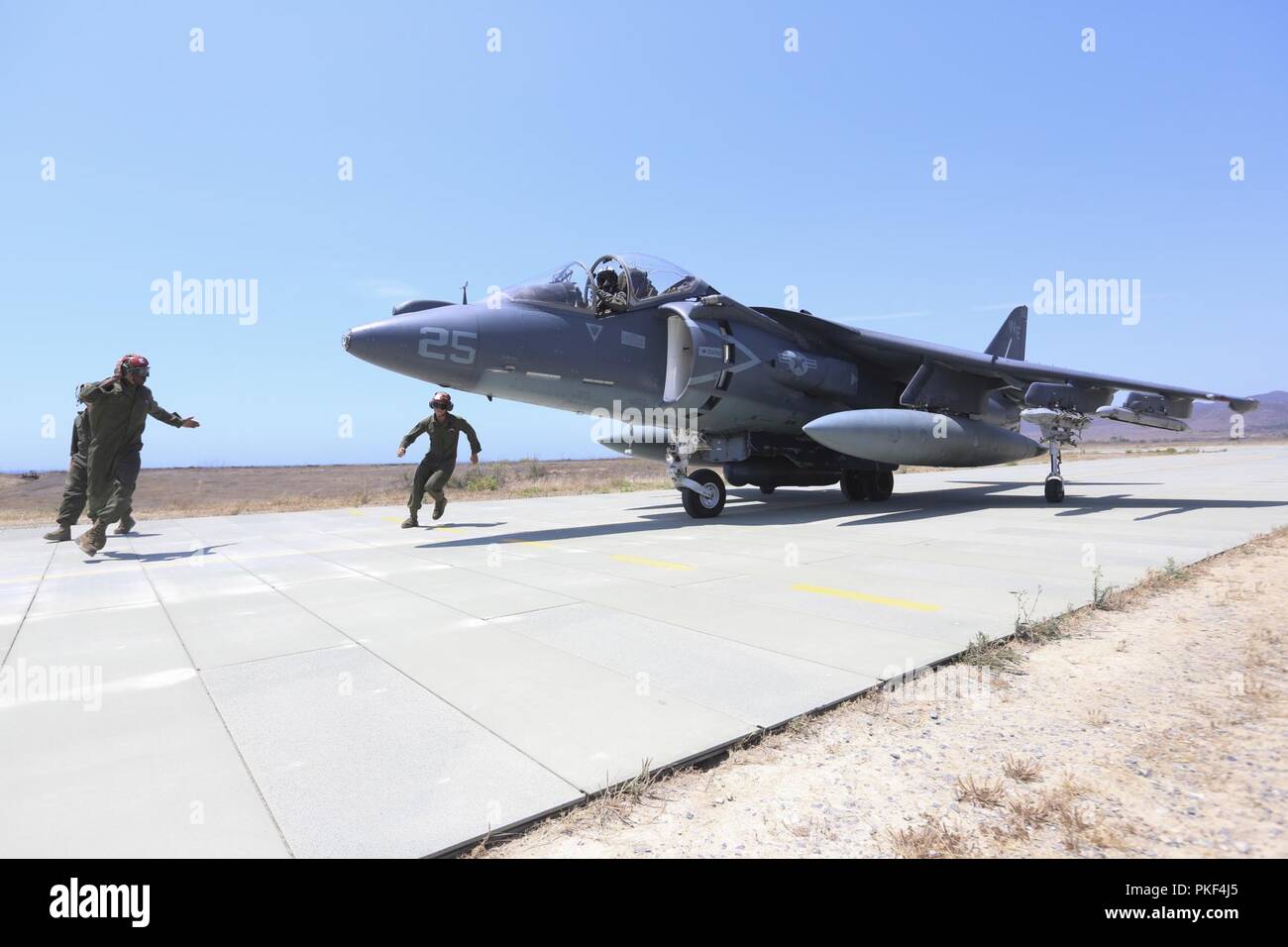 Marines con Marine Wing Support Squadron (MWSS) 373 condotta avanti armamento e le operazioni di rifornimento con un AV-8B Harrier con attacco Marino Squadron (VMA) 214, Marine Aircraft Group (MAG) 13, terzo aeromobile marino ala, durante la fase di esercizio la furia di estate 2018 a Camp Pendleton, California, 1 agosto. Estate Fury è progettato per aumentare la funzionalità e l'efficacia della terza MAW aumentando al contempo la Marine Air-Ground Task Force navale e integrazione con i partecipanti Marine Expeditionary Force e di unità navali. Foto Stock