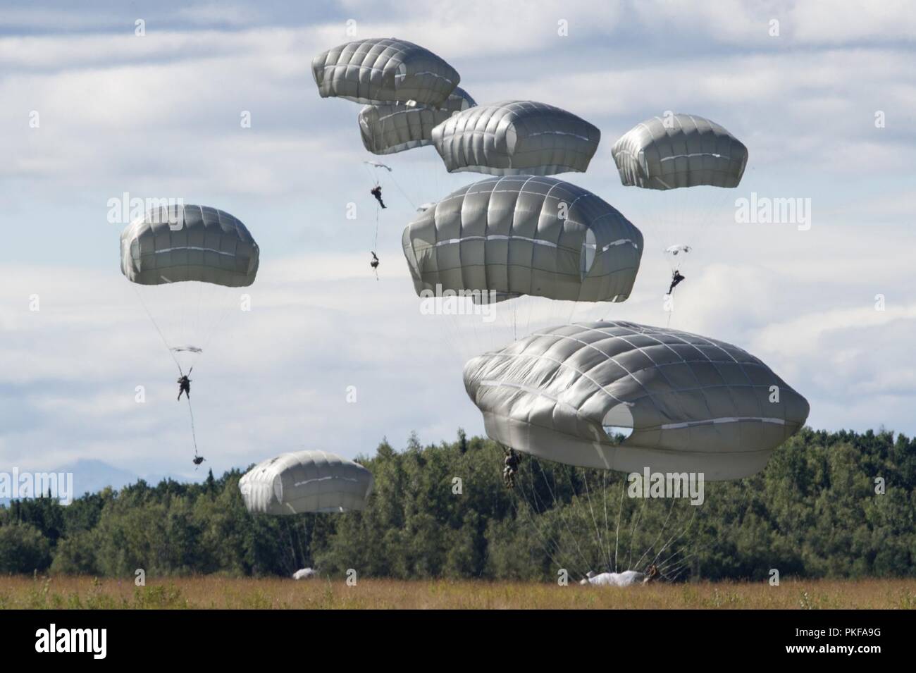 Stati Uniti Paracadutisti dell'esercito assegnato alla quarta brigata di fanteria combattere Team (airborne), XXV divisione di fanteria, U.S. Esercito di Alaska, scendere sopra Malemute Drop Zone dopo il salto da un'Illinois Air National Guard C-130 Hercules durante la conduzione di airborne formazione a base comune Elmendorf-Richardson, Alaska, e il Agosto 9, 2018. I soldati del 4/25 appartengono al solo American airborne brigade nel Pacifico e sono addestrati per eseguire le manovre di volo in condizioni di freddo intenso e ambienti ad altitudini elevate a sostegno del combattimento, partenariato e disaster relief operations. Avieri dal 169Airlift Squadr Foto Stock