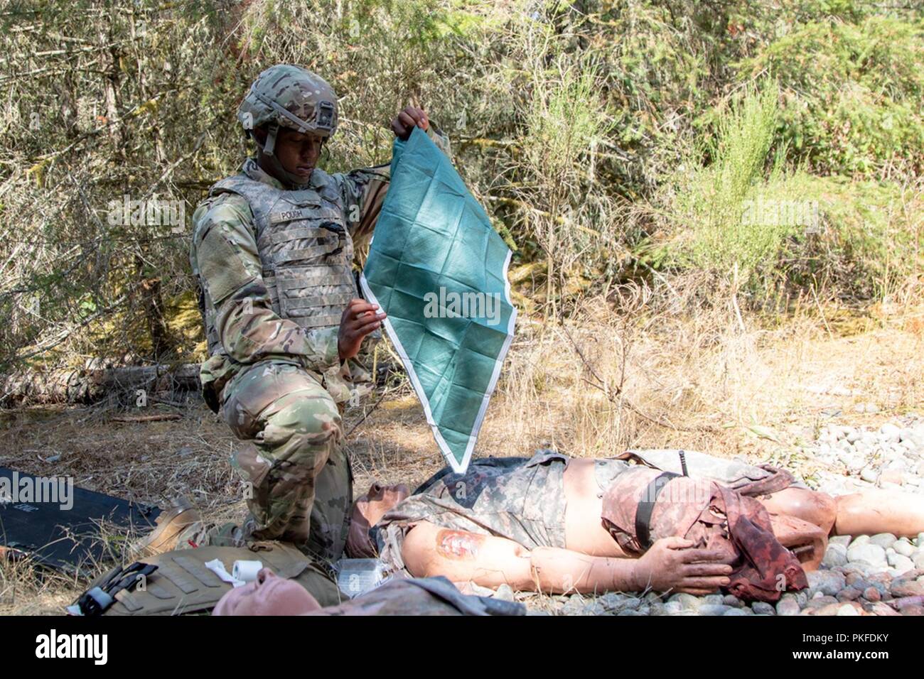 Sgt. Tempesta Pough, combattere medic con 2-2 Stryker Brigade Combat Team, compete per la sanità regionale Command-Pacific Best Medic concorrenza a base comune Lewis-Mccorda, nello Stato di Washington, 7 agosto 2018. La concorrenza ha portato i migliori medici in tutta la regione del Pacifico - Washington, Hawaii, Alaska, Giappone e Corea. Foto Stock