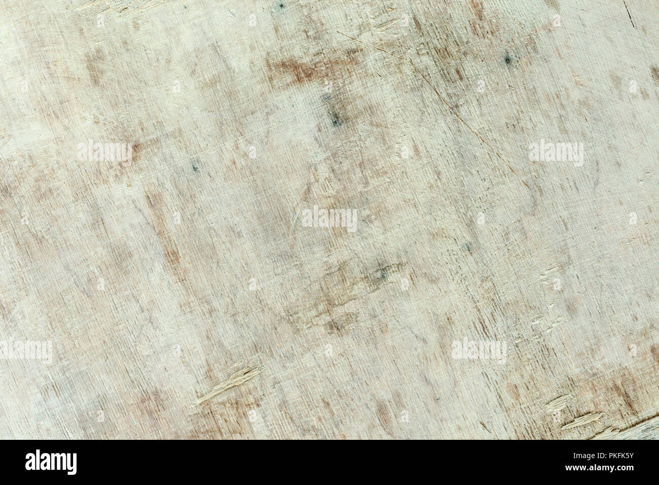 Legno vecchio bianco. Vernice in legno bianco naturale. Foto Stock