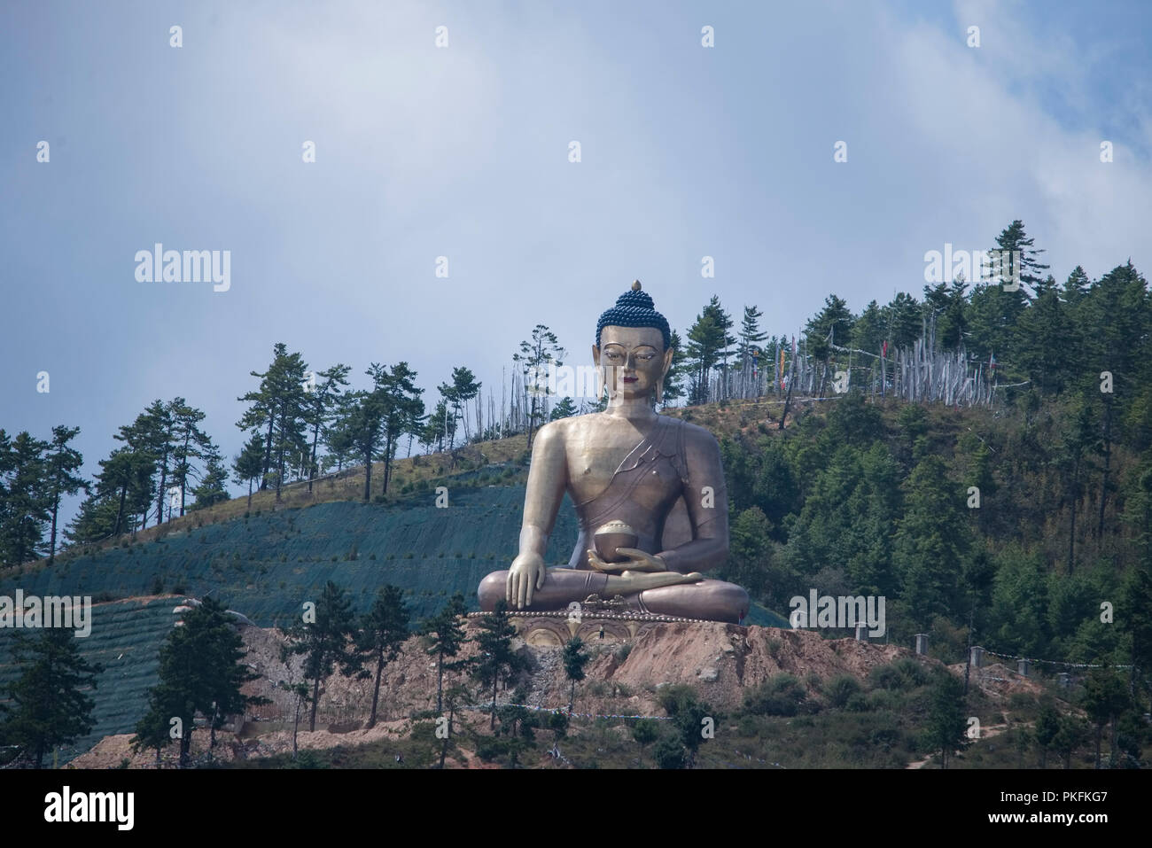 Il Buddha Dordenma,più alto statua del Buddha,in tutto il mondo,affacciato,Thimpu meridionale,Bhutan. Foto Stock