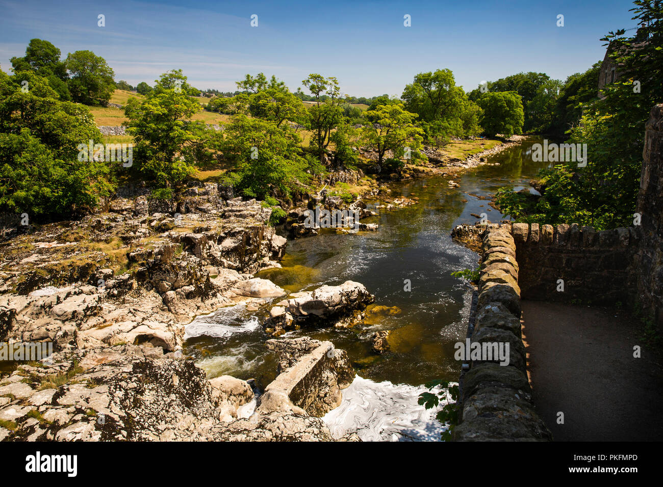 Regno Unito, Yorkshire, Wharfedale, Linton Falls, esposto alveo fluviale roccioso durante l estate secca meteo Foto Stock
