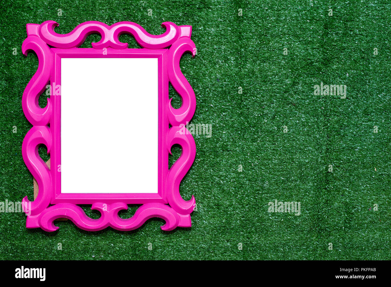 Ritratto di rosa porta sul campo in erba sintetica. Foto Stock