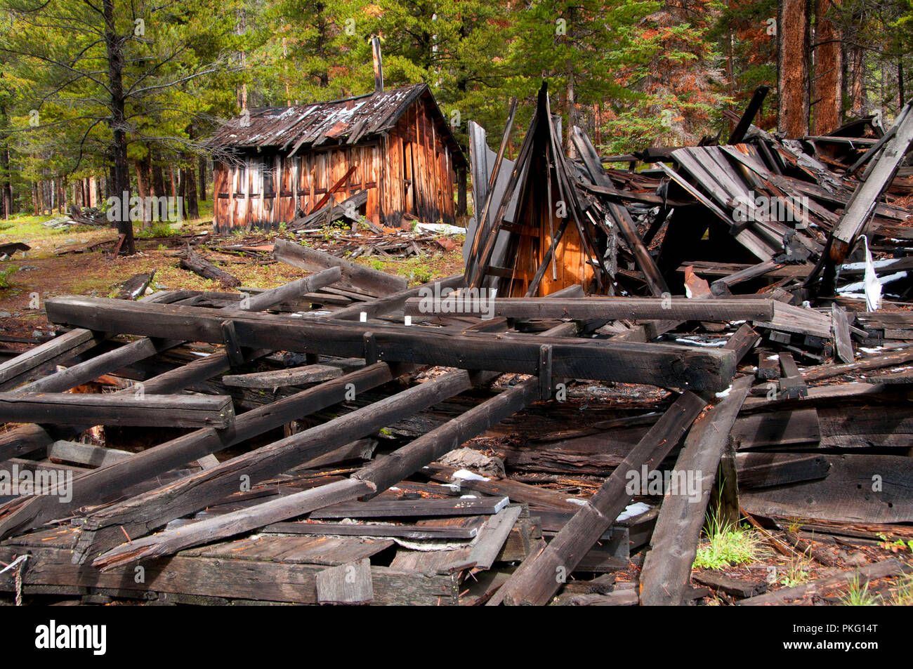 Coolidge città fantasma, Beaverhead-Deerlodge National Forest, Montana Foto Stock