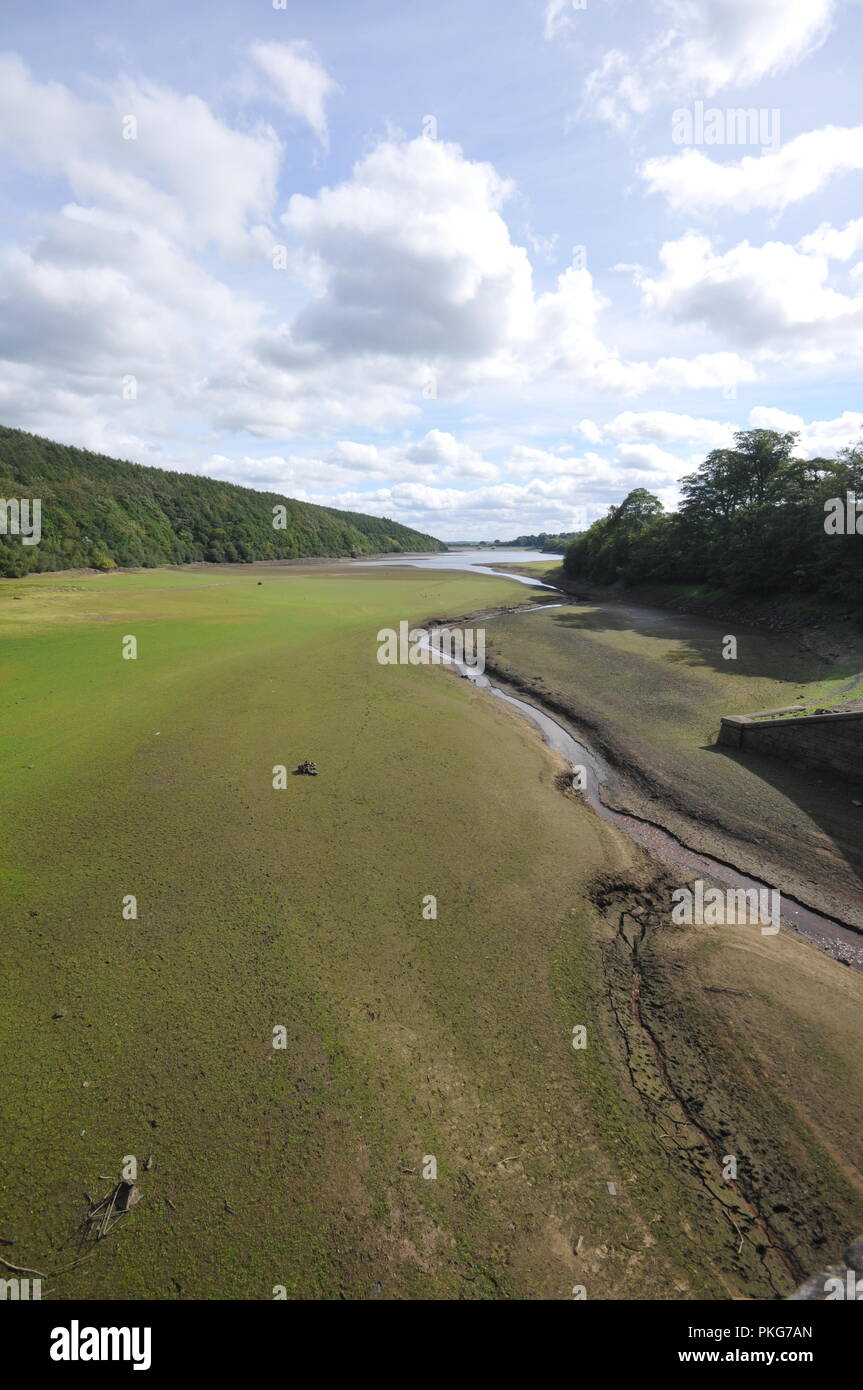 Leeds, Yorkshire Regno Unito. 13 Sett 2018. I livelli di acqua rimangono bassi a Lindley serbatoio nell'Washubrn Valley, al di fuori di Leeds e Bradford conurbazioni dopo un record di caldo estivo. Lindley è solo uno di una stringa di serbatoi in Washburn valle di alimentazione di acqua per le grandi città nella zona. credito David Hickes/Alamy Live News. Foto Stock Leeds, Yorkshire Regno Unito. 13 Sett 2018. I livelli di acqua rimangono bassi a Lindley serbatoio nell'Washubrn Valley, al di fuori di Leeds e Bradford conurbazioni dopo un record di caldo estivo. Lindley è solo uno di una stringa di serbatoi in Washburn valle di alimentazione di acqua per le grandi città nella zona. credito David Hickes/Alamy Live News. Foto Stock
